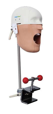 Jingle JG-C5 — Стоматологический фантом пациента мобильный