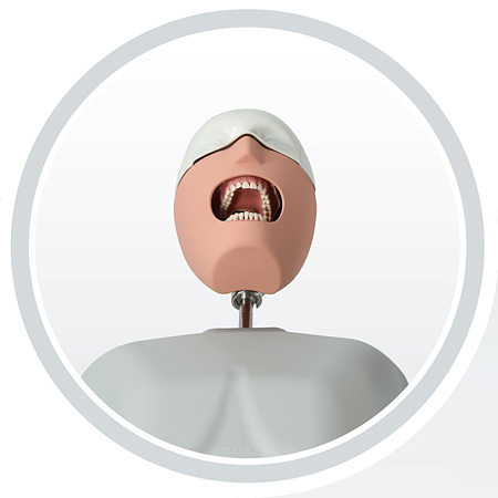 Jingle JG-C9 — Стоматологический фантом пациента мобильный